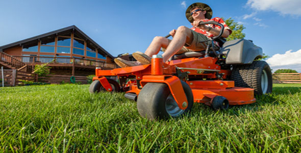 Essential Tools for Easy Lawn and Garden Maintenance